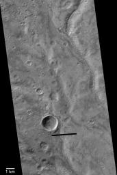 NASA's Mars Global Surveyor show a grouping of intricately-carved networks of branching valleys in Warrego Valles on Mars.