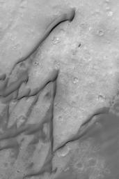 NASA's Mars Global Surveyor shows windblown sand dunes in Herschel Basin, a large impact crater in the Terra Cimmeria region of Mars. The dunes of Herschel have grooved surfaces, indicating that their sands are somewhat cemented.