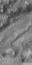 NASA's Mars Global Surveyor shows large, light-toned, ripple-like windblown bedforms in a portion of the giant flood channel complex, Maja Valles. Ripples such as these are very common on Mars.