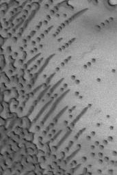NASA's Mars Global Surveyor shows a variety of dark sand dune patterns and shapes in the north polar region of Mars. Small, aligned dunes in some cases have merged to form elongated dunes.