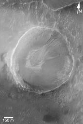 NASA's Mars Global Surveyor shows a very small gully example in a crater on Mars. Debris transported through the gullies was deposited on top of light-toned, windblown ripples on the floor of the crater.