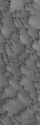NASA's Mars Global Surveyor shows the north polar cap of Mars nearly surrounded by fields of dark, windblown sand dunes.