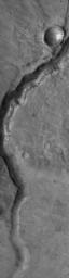 NASA's Mars Global Surveyor shows an ancient valley in far northwestern Arabia Terra, near the Cydonia region on Mars. Large, windblown ripples occur on the valley floor.