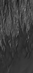 NASA's Mars Global Surveyor shows wind-eroded remnants of sedimentary rock outcrops in Ganges Chasma, one of the troughs of the Valles Marineris system on Mars. A thick accumulation of dark, windblown sand is present.