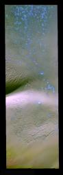 This false-color image from NASA's Mars Odyssey contains dunes on Mars, and small areas of blue which may represent fresh (non-dust covered) frost or ice. Ice/frost will appear as bright blue in color; dust mantled ice will appear in tones of red/orange. 
