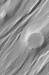 NASA's Mars Global Surveyor shows the expression of a formerly filled and buried meteor crater, locked within sedimentary materials eroded by wind in the Memnonia Sulci region of Mars.