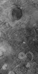 NASA's Mars Global Surveyor shows landforms on the floor of Antoniadi Crater on Mars. The circular features were once meteor impact craters that have been almost completely eroded away.