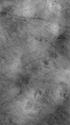 NASA's Mars Global Surveyor shows a typical view of the vast martian northern plains. The dark, filamentary streaks were most likely formed by passing dust devils.