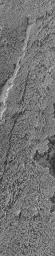 NASA's Mars Global Surveyor shows the surface of lava flows in eastern Daedalia Planum on Mars.