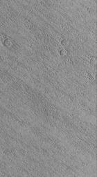 NASA's Mars Global Surveyor shows small wind-eroded ridges, known to geologists as yardangs, in the Eumenides Dorsum region of Mars.
