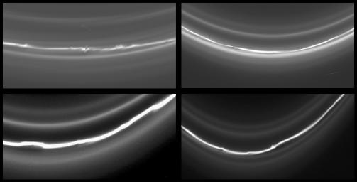 This montage of four images of Saturn's knotted F ring shows different locations around the ring, even though all taken within a few hours of each other. These images were taken in visible light with NASA's Cassini spacecraft's narrow-angle camera.