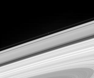Saturn's moon Pandora glides in front of the narrow F ring, making the moon's oblong outline visible. This image from NASA's Cassini spacecraft also shows the A ring, Cassini Division, B ring, and part of the C ring.