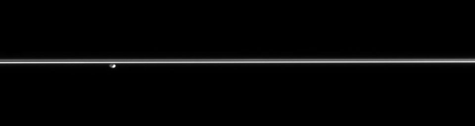 Gazing across the plains of Saturn's icy rings, NASA's Cassini spacecraft catches the F ring shepherd moon Pandora hovering in the distance.