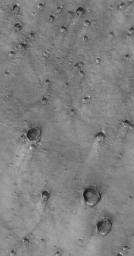 NASA's Mars Global Surveyor shows craters with wind streaks in Acidalia Planitia on Mars.