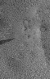 NASA's Mars Global Surveyor shows patterned ground on the martian northern plains. The circular features are buried meteor impact craters; the small dark dots associated with them are boulders. Dark feature is a wind streak.