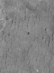 NASA's Mars Global Surveyor shows a typical view of polygon-cracked and pitted surfaces unique to western Utopia Planitia. No other place on Mars has this appearance.