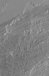 NASA's Mars Global Surveyor shows dark wind streaks streaming across lava flow surfaces in eastern Tharsis, west of the Kasei Valles region of Mars.