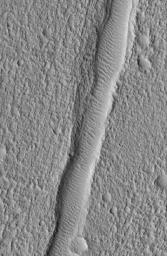 NASA's Mars Global Surveyor shows a wind ripple-filled trough, a fracture in a rugged and pitted plain, located northwest of Kasei Valles in the Nilus Chaos region of Mars.