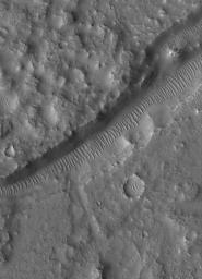 NASA's Mars Global Surveyor shows a trough partly filled by large, windblown ripples in the Tempe Terra region of Mars.