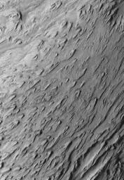 NASA's Mars Global Surveyor shows wind-eroded sedimentary rocks in Tithonium Chasma, one of the troughs of the Valles Marineris system on Mars.