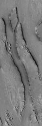 NASA's Mars Global Surveyor shows streamlined landforms carved by catastrophic floods in the Athabasca Valles system of the Cerberus region of Mars.