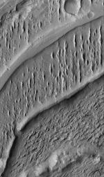 NASA's Mars Global Surveyor shows the inverted traces of old channels in a complex, wind-eroded fan located in the Aeolis region of Mars.