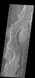 These lava flows are part of the Arsia Mons volcanic complex on Mars as seen by NASA's 2001 Mars Odyssey spacecraft.