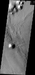 Small ripple-like dunes surround hills in the region of Elysium Planitia in this image from NASA's Mars Odyssey spacecraft.