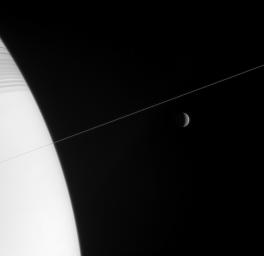 Shadow-striped Saturn and its exquisitely thin rings occupy the near field in this NASA Cassini spacecraft view, while a crescent Rhea hangs in the distance.
