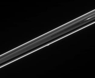 The dim, unlit side of Saturn's rings hides a secret in this view. Shy Mimas can be seen peeking out from behind the rings below center in this image taken by NASA's Cassini spacecraft.