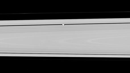 Hiding within the Encke gap is the small moon Pan, partly in shadow and party cut off by the outer A ring in this view. This image is from NASA's Cassini spacecraft.