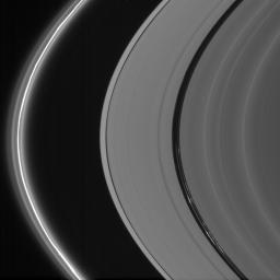 Saturn's bright ringlets seen here are populated with microscopic icy particles and are among the brightest features in the rings at high phase angles as seen by NASA's Cassini spacecraft.