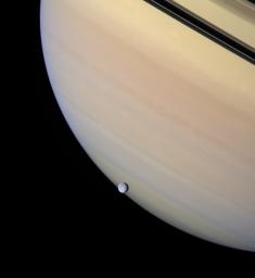 A serene orb of ice is set against the gentle pastel clouds of giant Saturn. Rhea transits the face of the gas giant, whose darkened rings and their planet-hugging shadows appear near upper right as seen by NASA's Cassini spacecraft.