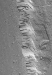 This NASA Mars Global Surveyor image shows a portion of the floor and wall of a trough in the Acheron Fossae region of Mars. Mass movements of dry dust have created the dark slope streaks on the wall of the trough.
