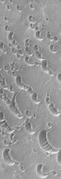 NASA's Mars Global Surveyor shows sand dunes overlain by a layer of seasonal carbon dioxide frost in the north polar region of Mars.