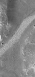 NASA's Mars Global Surveyor shows windblown ripples on the floor of Auqakuh Vallis on Mars. The light-toned area, running diagonally across the scene may be dust that has accumulated in the bottom of the valley and on top of the ripples.