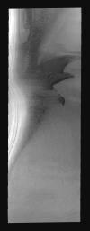 This image is from NASA's 2001 Mars Odyssey. THEMIS ART IMAGE #71 Is it a pig oinking or dolphins jumping? These south polar dunes on Mars have an animal appearance.