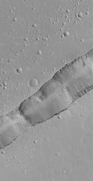 NASA's Mars Global Surveyor shows a portion of a trough cutting across a dust-covered plain in the Labeatis Fossae region of Mars. Boulders derived from the layered exposures near the top of the trough walls are resting on the floor.