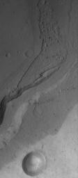 This image from NASA's Mars Global Surveyor shows gullies a portion of a flood-carved canyon within the larger Kasei Valles system on Mars. This canyon is the result of the very last flood event that poured through the Kasei valleys, long ago.