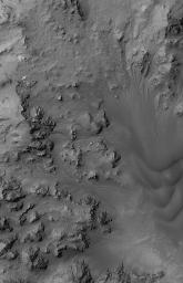 NASA's Mars Global Surveyor shows dried streambeds -- martian gullies -- in the mountainous central peak region of Hale Crater on Mars.