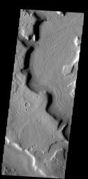 The odd pattern on the floor of this channel suggests that a volitile such as ice played a part in its formation on Mars as seen by NASA's Mars Odyssey spacecraft.