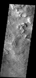 The materials that make up the Medusa Fossae Formation are easily eroded by the wind. Over the millenia the wind has sculpted the surface into new textures on Mars as seen by NASA's Mars Odyssey spacecraft.