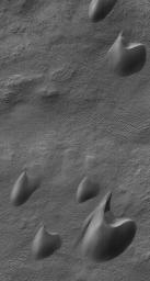 This image from NASA's Mars Global Surveyor shows dark sand dunes, with a thin coating of autumn frost, in the Ogygis Regio west of Argyre basin.