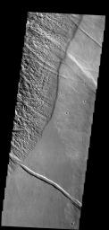 This image from NASA's Mars Odyssey spacecraft shows a rugged surface at left called Gigas Sulci, the smoother surface to the right is composed of lava flows from the Tharsis volcanoes on Mars.