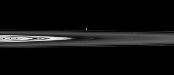 NASA's Cassini spacecraft skims past Saturn's ringplane at a low angle, spotting two ring moons on the far side.