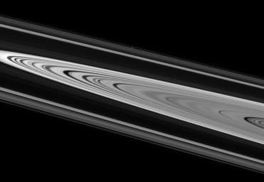 Saturn's enchanting rings display crisply defined edges and strong contrast on their unilluminated side. This image was taken in visible light with NASA's Cassini spacecraft's narrow-angle camera.
