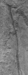 NASA's Mars Global Surveyor shows a pair of gully channels that emerge, fully-born at nearly their full width, from beneath small overhangs on the north wall of Dao Vallis on Mars.