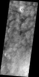 This image shows part of Utopia Plainitia. The dark markings are dust devil tracks and possibly fractures on Mars as seen by NASA's Mars Odyssey spacecraft.