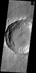 This rim of this unnamed crater in Tempe Terra has been modified by the formation of numerous gullies on Mars as seen by NASA's Mars Odyssey spacecraft.