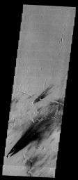 The dark windstreaks in this image are located on volcanic flows northwest of Ascraeus Mons on Mars as seen by NASA's 2001 Mars Odyssey spacecraft.